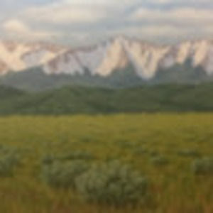 Meet your Posher, Abigail